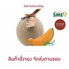 OTOP เมล่อนฮอกไกโด เกรดพรีเมี่ยม 1 ลูก ไร่ชรินทร์พรรณ - ไร่ชรินทร์พรรณ, ผลไม้สด