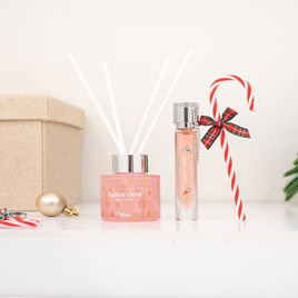 POTION HOUSE ก้านไม้หอม ขนาด 50 ML. กลิ่นแคนดี้ เคน - Potion House, อุปกรณ์ตกแต่งภายในบ้าน