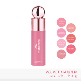 Plantnery ลิปแมท Velvet Garden Color Lip 4 กรัม - Plantnery, ลิปน้ำ/ลิปจิ้มจุ่ม