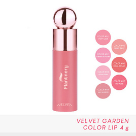 Plantnery ลิปแมท Velvet Garden Color Lip 4 กรัม - Plantnery, ลิปน้ำ/ลิปจิ้มจุ่ม