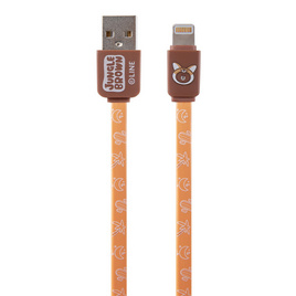 Rizz สายชาร์จ Lightning รุ่น  LN-R010 - Rizz, สายชาร์จ