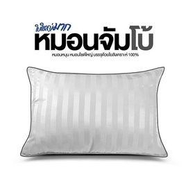 SC HOME หมอนหนุนจัมโบ้ รุ่น Combo 24x34 ริ้วขาว - SC HOME, ห้องนอนและเครื่องนอน