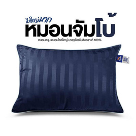 SC HOME หมอนหนุนจัมโบ้ รุ่น Combo 24x34 ริ้วกรม - SC HOME, บ้านและสวน