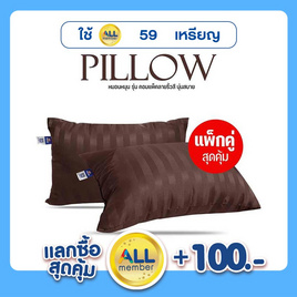 SC HOME หมอนหนุนแพ็คคู่ รุ่น Compact SS ริ้วน้ำตาลเข้ม - DD Bedding, DD Bedding