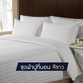 SOLOMON ชุดผ้าปูที่นอน สีขาว - SOLOMON, ชุดผ้าปูที่นอนพร้อมผ้านวม