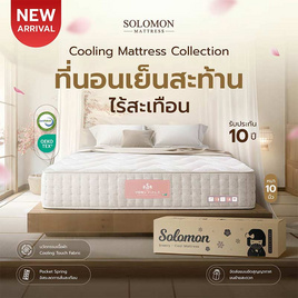 SOLOMON ที่นอนเย็น พ็อกเก็ตสปริง 10นิ้ว รุ่น Maetaru - SOLOMON, เครื่องใช้ในบ้านลดโหด