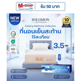 SOLOMON ที่นอนเย็น พ็อกเก็ตสปริง 10นิ้ว รุ่น Maetaru - SOLOMON, ที่นอน