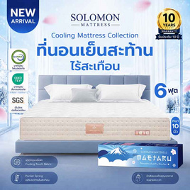 SOLOMON ที่นอนเย็น พ็อกเก็ตสปริง 10นิ้ว รุ่น Maetaru - SOLOMON, ที่นอน