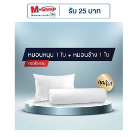 SOLOMON ชุดหมอนหนุน 1 ใบ + หมอนข้าง 1 ใบ - SOLOMON, ห้องนอนและเครื่องนอน