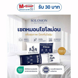 SOLOMON ชุดหมอนหนุน 1 ใบ + หมอนข้าง 1 ใบ - SOLOMON, หมอนหนุนและหมอนข้าง