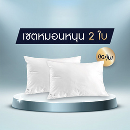 SOLOMON หมอนหนุน 2 ใบ เพื่อสุขภาพ ป้องกันไรฝุ่น - SOLOMON, ห้องนอนและเครื่องนอน