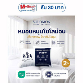 SOLOMON หมอนหนุน 2 ใบ เพื่อสุขภาพ ป้องกันไรฝุ่น - SOLOMON, หมอนหนุนและหมอนข้าง