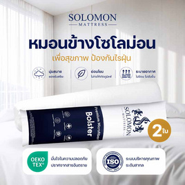SOLOMON หมอนข้าง 2 ใบ เพื่อสุขภาพ ป้องกันไรฝุ่น - SOLOMON, 7Online