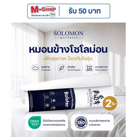 SOLOMON หมอนข้าง 2 ใบ เพื่อสุขภาพ ป้องกันไรฝุ่น - SOLOMON, บ้านและสวน