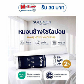 SOLOMON หมอนข้าง 2 ใบ เพื่อสุขภาพ ป้องกันไรฝุ่น - SOLOMON, หมอนหนุนและหมอนข้าง