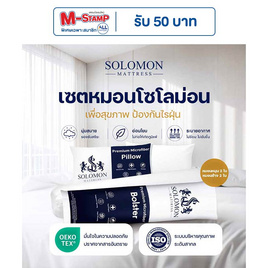 SOLOMON หมอนหนุน 2 ใบ หมอนข้าง 2 ใบ สีขาว เซ็ตคู่ - SOLOMON, สายวางแผน