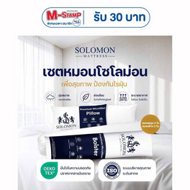 SOLOMON หมอนหนุน 2 ใบ หมอนข้าง 2 ใบ สีขาว เซ็ตคู่ - SOLOMON, SOLOMON