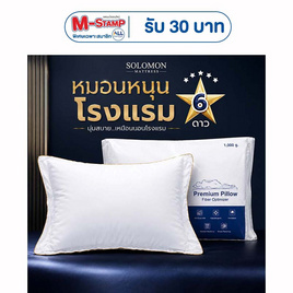 SOLOMON หมอนหนุนโรงเเรม 6 ดาว เกรดพรีเมี่ยม - SOLOMON, SOLOMON