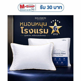 SOLOMON หมอนหนุนโรงเเรม 6 ดาว เกรดพรีเมี่ยม - SOLOMON, บ้านและสวน