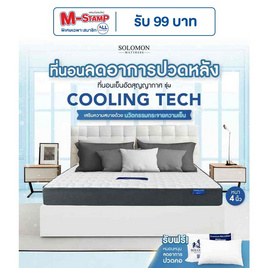 SOLOMON ที่นอนเย็นCoolingTech หนา4นิ้ว - SOLOMON, ที่นอน