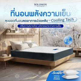 SOLOMON ที่นอนเย็นCoolingTech หนา6นิ้ว - SOLOMON, ที่นอน