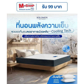 SOLOMON ที่นอนเย็นCoolingTech หนา6นิ้ว - SOLOMON, ที่นอน