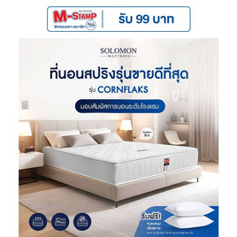 SOLOMON ที่นอนสปริง Cornflaks - SOLOMON, ที่นอน