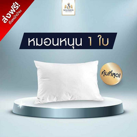 SOLOMON หมอนหนุนสุขภาพ ป้องกันไรฝุ่น (White) 1ใบ - SOLOMON, ห้องนอนและเครื่องนอน