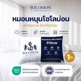 SOLOMON หมอนหนุนสุขภาพ ป้องกันไรฝุ่น (White) 1ใบ - SOLOMON, บ้านและสวน