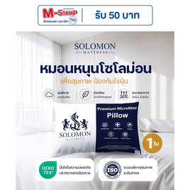 SOLOMON หมอนหนุนสุขภาพ ป้องกันไรฝุ่น (White) 1ใบ - SOLOMON, บ้านและสวน