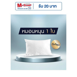 SOLOMON หมอนหนุนสุขภาพ ป้องกันไรฝุ่น (White) 1ใบ - SOLOMON, ห้องนอนและเครื่องนอน