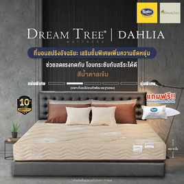 Satin ที่นอน Dream Tree รุ่น DAHLIA - Satin, ที่นอน