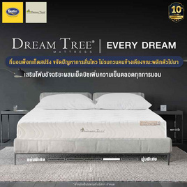 Satin ที่นอน Dream Tree ที่นอนรุ่น Every Dream หนา 12 นิ้ว - Satin, 7Online