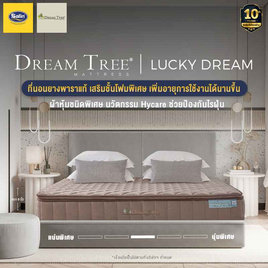 Satin ที่นอน Dream Tree ที่นอนรุ่น Lucky Dream หนา 11 นิ้ว - Satin, ห้องนอนและเครื่องนอน