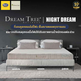 Satin ที่นอน Dream Tree รุ่น Night Dream หนา 9 นิ้ว - Satin, ที่นอน