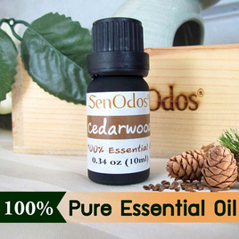 SenOdos น้ำมันหอมระเหยแท้ 100% กลิ่นซีด้าร์วูด (Cedarwood) 10 ml. - SenOdos, บ้านและสวน