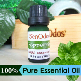 SenOdos น้ำมันหอมระเหยแท้ 100% กลิ่นเปปเปอร์มิ้นต์ (Peppermint) 10 ml. - SenOdos, ของตกแต่งบ้าน