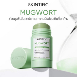 Skintific มัควอร์ธ แอคเน่ เคลย์ สติ้กซ์ 40 กรัม - Skintific, 7Online