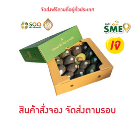 Spot of Quality อะโวคาโดแฮส Gift Box Special กล่อง 2 กก. - Spot of Quality, อาหารสด ผัก ผลไม้และเบเกอรี่