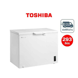 TOSHIBA ตู้แช่อเนกประสงค์ ความจุ 293 ลิตร รุ่น GR-RC390CE-DMT(01) - Toshiba, ตู้แช่แข็ง