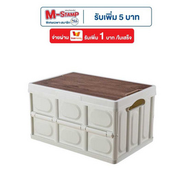 TS Modern Living กล่องพับได้ กล่องจัดระเบียบของ รุ่น CP0008 - Thai sun sport, อุปกรณ์จัดเก็บทั่วไป