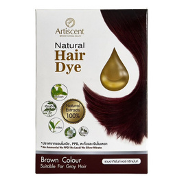 V Nature สมุนไพรปิดผมขาว Artiscent Natural Hair Dye สีน้ำตาลธรรมชาติ 230 มล. - V Nature, เปลี่ยนสีผม