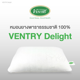 Ventry หมอนยางพาราปั่น รุ่น Delight - VENTRY, หมอนหนุนและหมอนข้าง