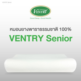 Ventry หมอนยางพารา รุ่น Senior - VENTRY