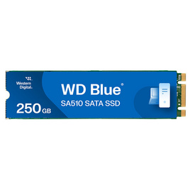 WD SSD M.2 SATA 2280 รุ่น Blue SA510 250GB - WD, โซลิดสเตทไดร์ฟ (SSD)