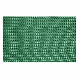 WSP พรมดักฝุ่นรุ่น WORM MAT สีเขียว ขนาด 60x90 ซม. - WSP