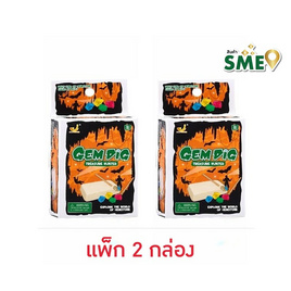 Wanna ฟอสซิลอัญมณี เสริมทักษะ (แพ็ก 2 กล่อง) - Wanna, อุปกรณ์ตกแต่ง, อุปกรณ์งานฝีมือ