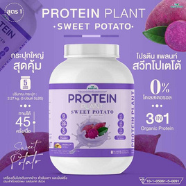 Wisamin PROTEIN PLANT โปรตีนแพลนท์ สูตร1 รสมันเทศ สีม่วง 2.27 Kg. - Wisamin, อาหารเสริม