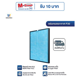Worldtech ไส้กรองอากาศ 20-30 ตร.ม. รุ่น WT-P30-Filter - Worldtech, เครื่องฟอกอากาศ