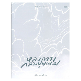 หนังสือ หลงทางกลางปุยเมฆ - 10 มิลลิเมตร, นวนิยาย